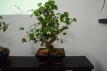 2013-06-27_228