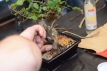 2013-06-27_334