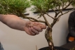 2013-06-27_345
