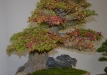 011-5