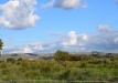 2015-10-09_4499