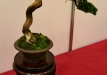 Enzo Ferrari, Šveicarija, Kininis kadagys 'Itoigawa' (Juniperus chinensis 'Itoigawa'), indas - Tokoname