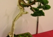 Nicola Crivelli, Šveicarija, Kininis kadagys (Juniperus chinensis), indas - Tokoname