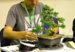 dsc_0317