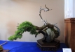 eba2016-2-36