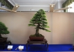 eba2016-2-41