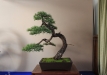 eba2016-2-46