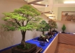 eba2016-2-47