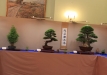 eba2016-2-49