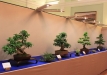 eba2016-2-50