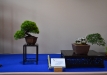 EBA 2016
