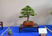 EBA 2016