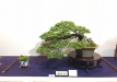 kokufu-ten-912017-2-dalis-036