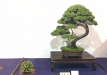 kokufu-ten-912017-2-dalis-044