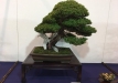 kokufu-ten-912017-2-dalis-047