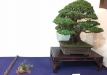 kokufu-ten-912017-2-dalis-052