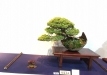 kokufu-ten-912017-2-dalis-054