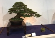 kokufu-ten-912017-2-dalis-056