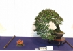 kokufu-ten-912017-2-dalis-057