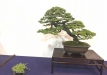 kokufu-ten-912017-2-dalis-062