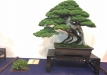 kokufu-ten-912017-2-dalis-065