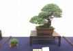 kokufu-ten-912017-2-dalis-071