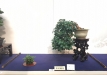 kokufu-ten-912017-2-dalis-073