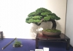 kokufu-ten-912017-2-dalis-076
