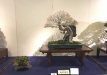kokufu-ten-912017-2-dalis-077