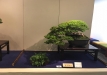 kokufu-ten-912017-2-dalis-082