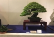 kokufu-ten-912017-2-dalis-090