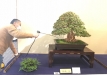 kokufu-ten-912017-2-dalis-091
