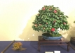 kokufu-ten-912017-2-dalis-093
