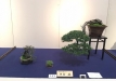kokufu-ten-912017-2-dalis-115