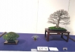 kokufu-ten-912017-2-dalis-117