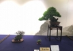 kokufu-ten-912017-2-dalis-147