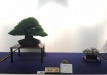 kokufu-ten-912017-2-dalis-160