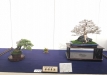 kokufu-ten-912017-2-dalis-164