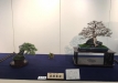 kokufu-ten-912017-2-dalis-166