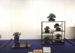 kokufu-ten-912017-2-dalis-172