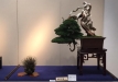 kokufu-bonsai-ten-91-116
