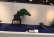 kokufu-bonsai-ten-91-128