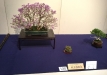 kokufu-bonsai-ten-91-165