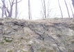 p1160159