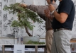 dsc_0076