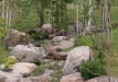 Dainuojančių akmenų slėnis 2011