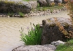 Dainuojančių akmenų slėnis 2011