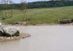 Dainuojančių akmenų slėnis 2011