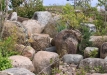 Dainuojančių akmenų slėnis 2011