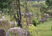 Dainuojančių akmenų slėnis 2011